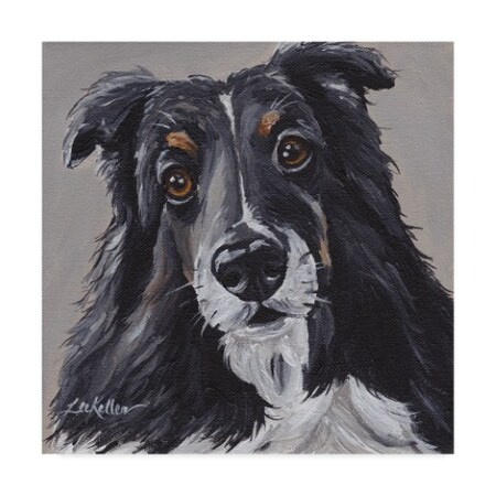 Trademark Fine Art Hippie Hound Studios 'Sheltie On Gray' Canvas Art, 14x14 ALI44050-C1414GG